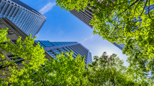 Green Debt in Real Estate