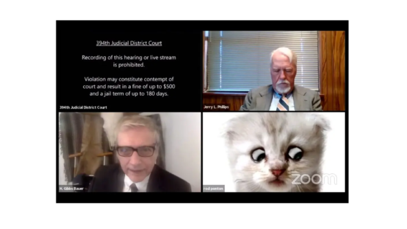 ‘Judge, I am not a cat!’