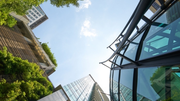 The financial services industry needs more B Corps